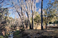 Percha Creek and a campground at the Kingston CG