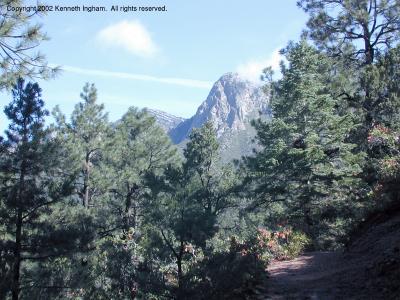 View north from the Pino Trail

