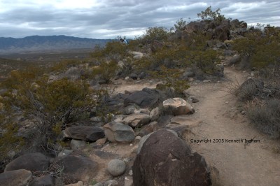 trail dividing