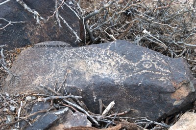 roadrunner petroglyph