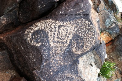 bighorn sheep petroglyph