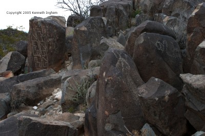 lots of rocks with petroglyphs