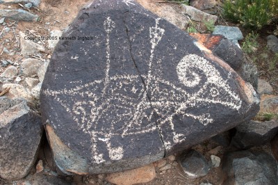 bighorn sheep with arrows in it