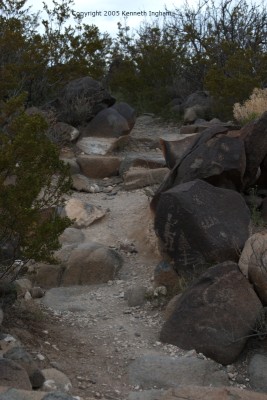 petroglyphs and the trail