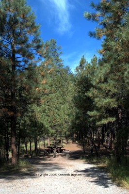 site 30
