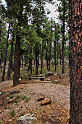 campsite
