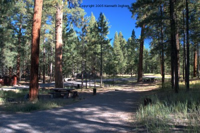 Site 3

