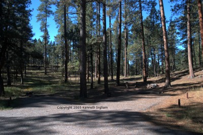site 8

