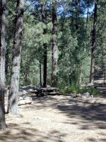 Site 27
