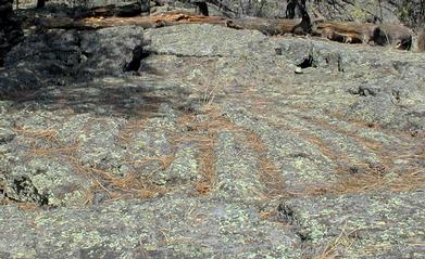 Pahoihoi lava

