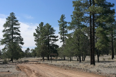 Sign indicating turnoff to trailhead parking
