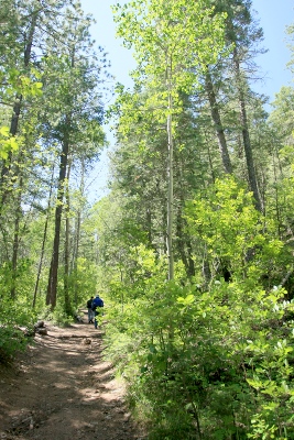 Hikers on the Black Canyon Trail
