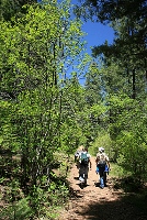Trailhead and campsites 4 and 5

