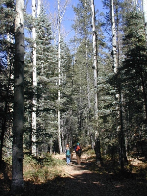 Diana, Sue, and Steve approach 150Y1
