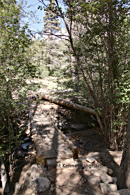 Diana on the bridge
