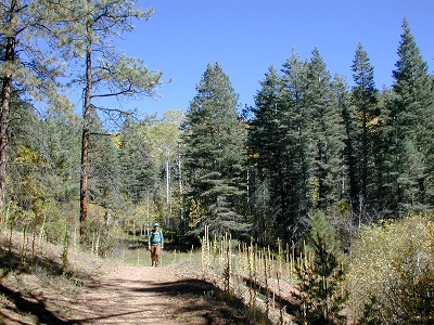 Steve on the trail
