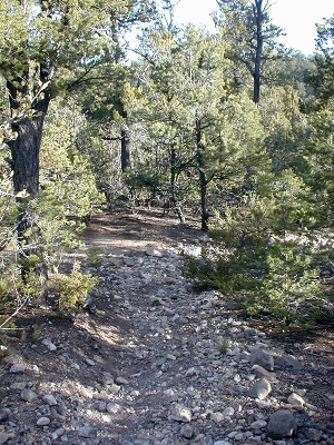 Trailhead area
