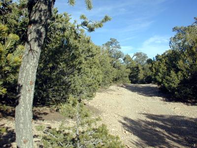 Trail 13
