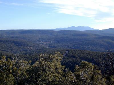 View south
