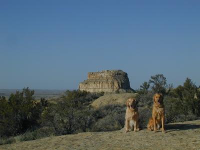 Goldie and Luke near the end of the trail
