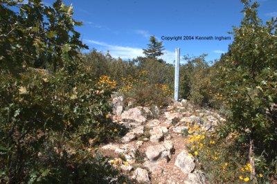 Junction with the crest trail
