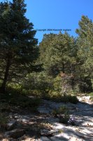 Cienega Canyon hike