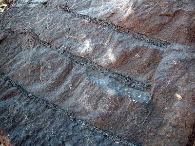 Striped lava
