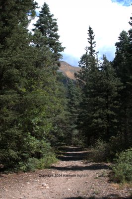 The view north from near the start of the Columbine Canyon trail.
