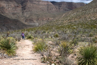 Diana on the trail on the first bench
