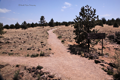 junction with a trail taking off to the left

