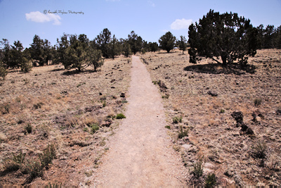 trail
