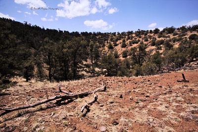 looking down into the cinder cone
