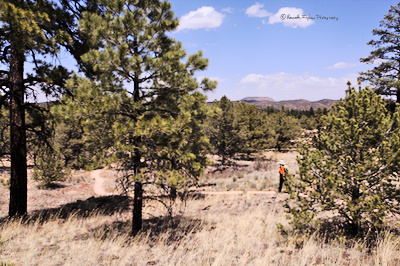 Diana hiking on the trail

