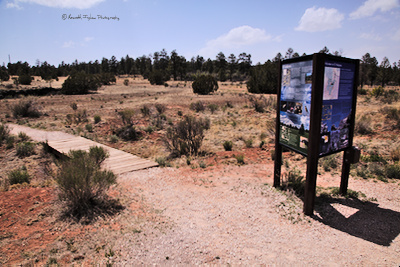 trail leading away from a vertical informational sign

