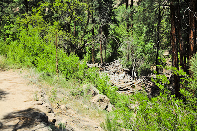 flood derbis near the trail
