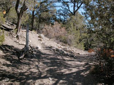 trail marker where Faulty Trail 195 and Crest Trail 130 meet
