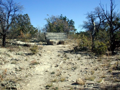A bench along the trail

