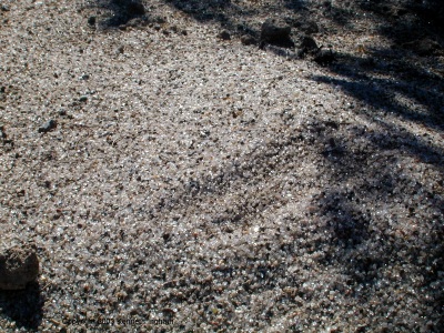 Crystals in an ant mound

