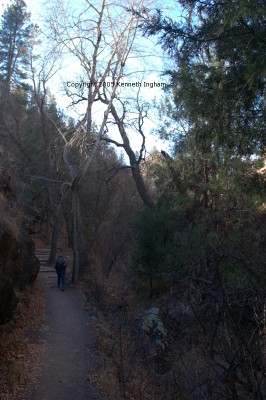 the trail
