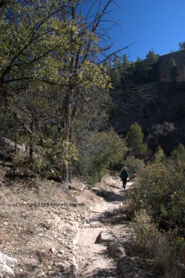 view down the trail
