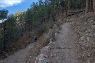 switchback in the trail
