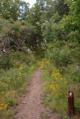 Interpretative location number 2 and the trail
