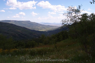 View down the canyon south.
