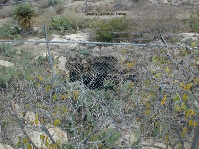The second entrance to Carlsbad Cavern
