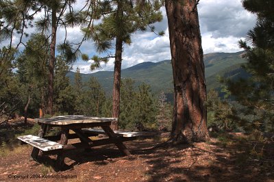 The first picnic table
