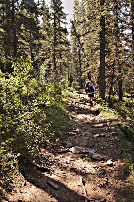hikers on the trail
