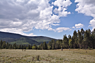 The meadow near Indian Lake
