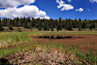Indian Lake
