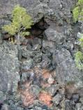 A pi&ntilde;on next to a place where orange rock is coming out of the lava
