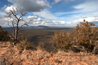 Gallo Peak and the Zuni Mountains.
